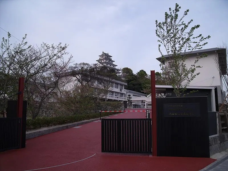 1月前受、早稲田佐賀中受験と前期納入金返金フロー | ナニコレ