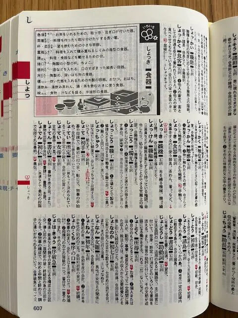 国語の語彙力が上がったおすすめの中学受験国語辞典 | ナニコレ